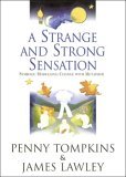 A Strange And Strong Sensation Symbolic Modelling: Change With Metaphor