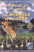 Understanding Islam - The Miracle Of The Ant
