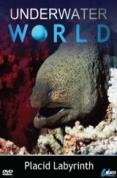 Underwater World - Placid Labyrinth