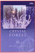 Nature's Beauty - Crystal Forest
