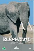 Wildlife Paradise - Elephants