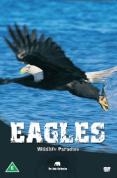 Wildlife Paradise - Eagles