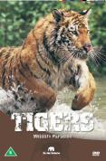 Wildlife Paradise - Tigers