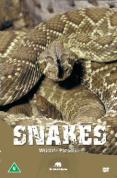 Wildlife Paradise - Snakes