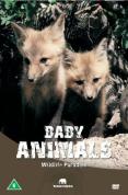 Wildlife Paradise - Baby Animals