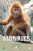 Wildlife Paradise - Monkeys