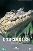 Wildlife Paradise - Crocodiles