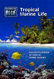Discover The Blue - Tropical Marine Life