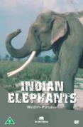 Wildlife Paradise - Indian Elephants