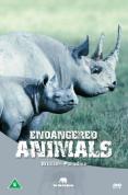 Wildlife Paradise - Endangered Animals