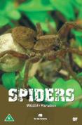 Wildlife Paradise - Spiders (Reptiles)