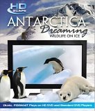Antarctica Dreaming [HD DVD disc format]