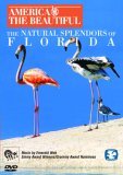 America The Beautiful - The Natural Splendors Of Florida