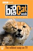 Big Cat Week - Series 3
