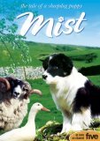 Mist the Sheepdog Pup