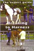 The Expert Guide - Breaking to Harness