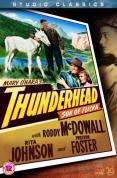 Thunderhead - Son Of Flicka [1945]