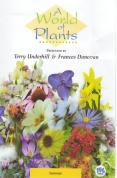A World Of Plants - Summer