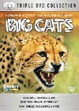 Big Cats