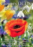 Flowers Of The British Isles