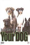 The Fun Guide To Caring For Your Dog