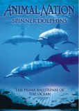 Animal Nation - Spinner Dolphins