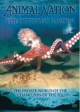 Animal Nation - Octopus Garden