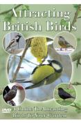Attracting British Birds