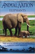Animal Nation - Elephants - The Whole Story