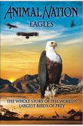 Animal Nation - The Eagle The Whole Story