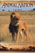 Animal Nation - Lions - The Whole Story