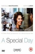 A Special Day