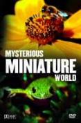 Mysterious Miniature World [2007]