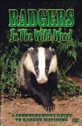Badgers In The Wood