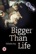 Bigger Than Life