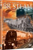 The Final Years Of B.R. Steam
