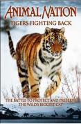 Animal Nation - Tigers Fighting Back