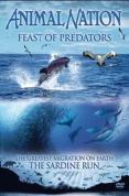 Animal Nation - Feast Of Predators