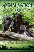 Animal Nation - Congo In The Bronx