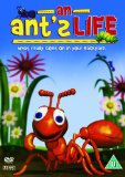 An Ant's Life