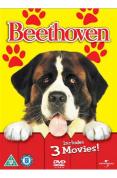 Beethoven/Beethoven 2nd/Beethoven 3rd