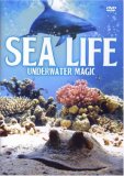 Sea Life [2007]