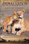 Animal Nation - Nature's Babies: Bonding in the Wild
