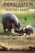 Animal Nation - Nature's Babies: Born in the Wild