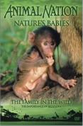 Animal Nation - Nature's Babies: the Family in the Wild