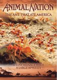 Animal Nation - The Ant That Ate America