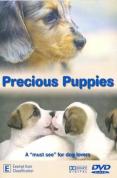 Precious Puppies