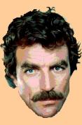 Magnum PI - Series 7 - Complete