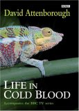 Life In Cold Blood