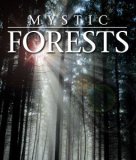 Mystic Forest [2007]